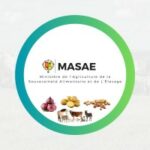 logo MASAE1