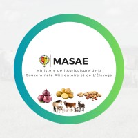 logo MASAE1